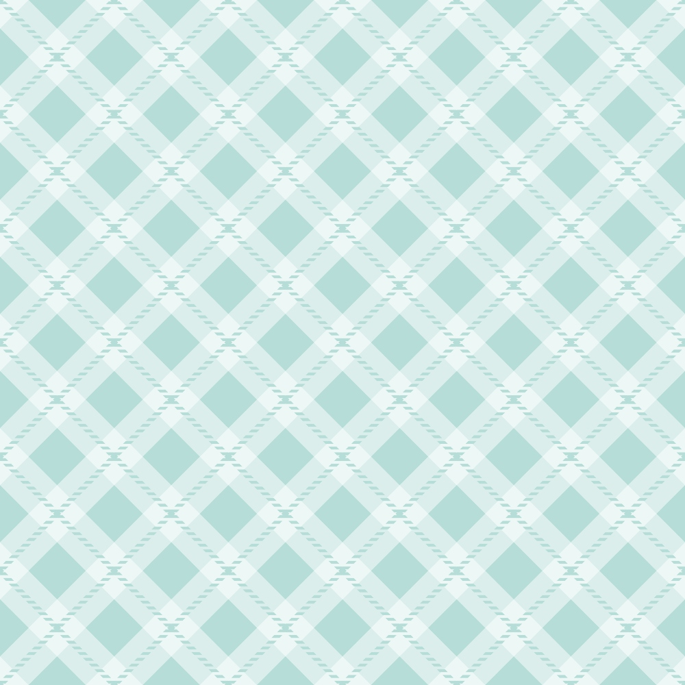 Seafoam Gingham Pattern 14 Minky Fabric