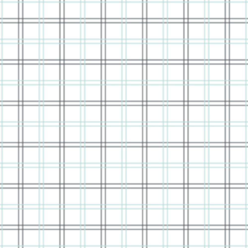 Seafoam Gingham Pattern 16 Minky Fabric