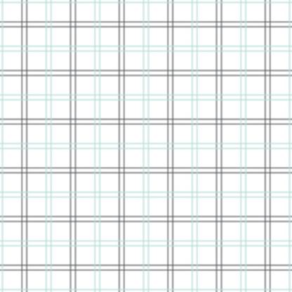 Seafoam Gingham Pattern 16 Minky Fabric