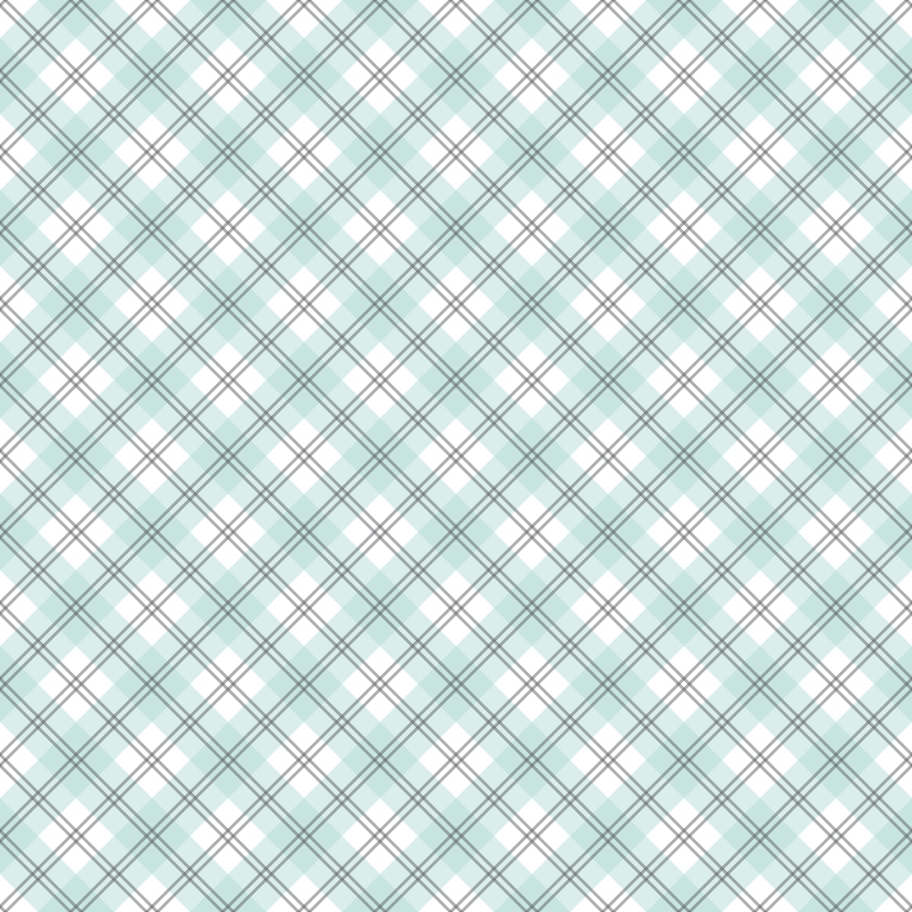 Seafoam Gingham Pattern 17 Minky Fabric