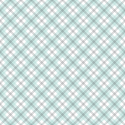 Seafoam Gingham Pattern 17 Minky Fabric