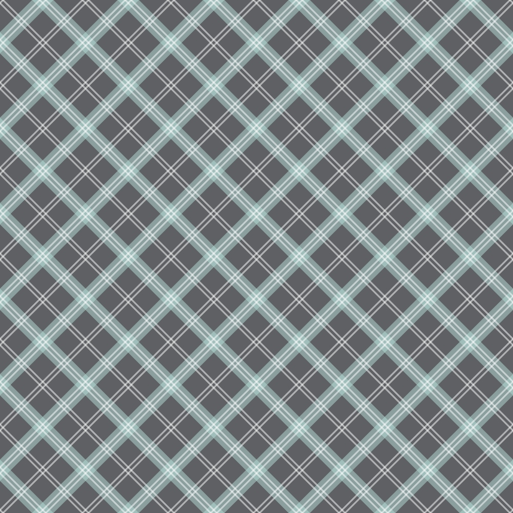 Seafoam Gingham Pattern 18 Minky Fabric