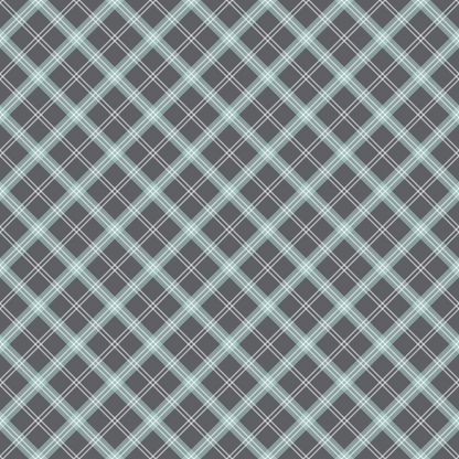 Seafoam Gingham Pattern 18 Minky Fabric