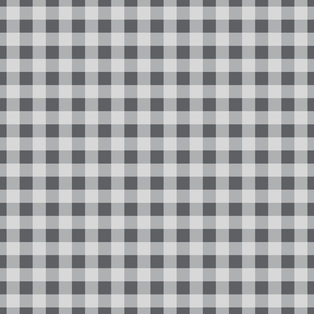 Seafoam Gingham Pattern 1 Minky Fabric