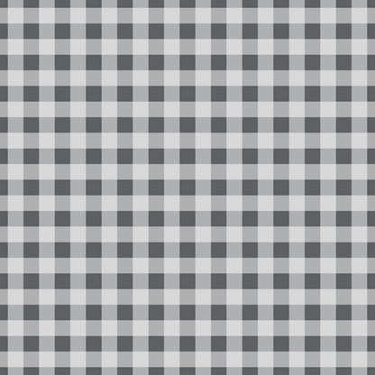 Seafoam Gingham Pattern 1 Minky Fabric