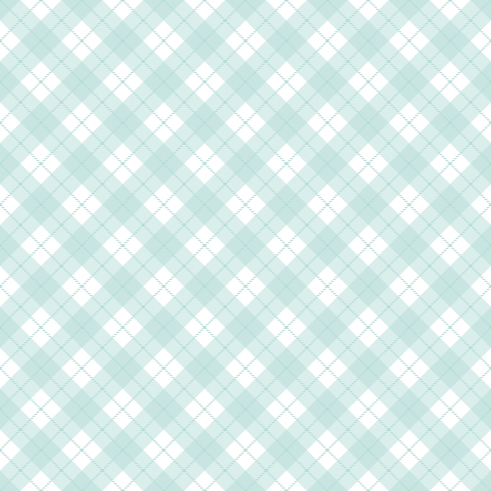 Seafoam Gingham Pattern 20 Minky Fabric