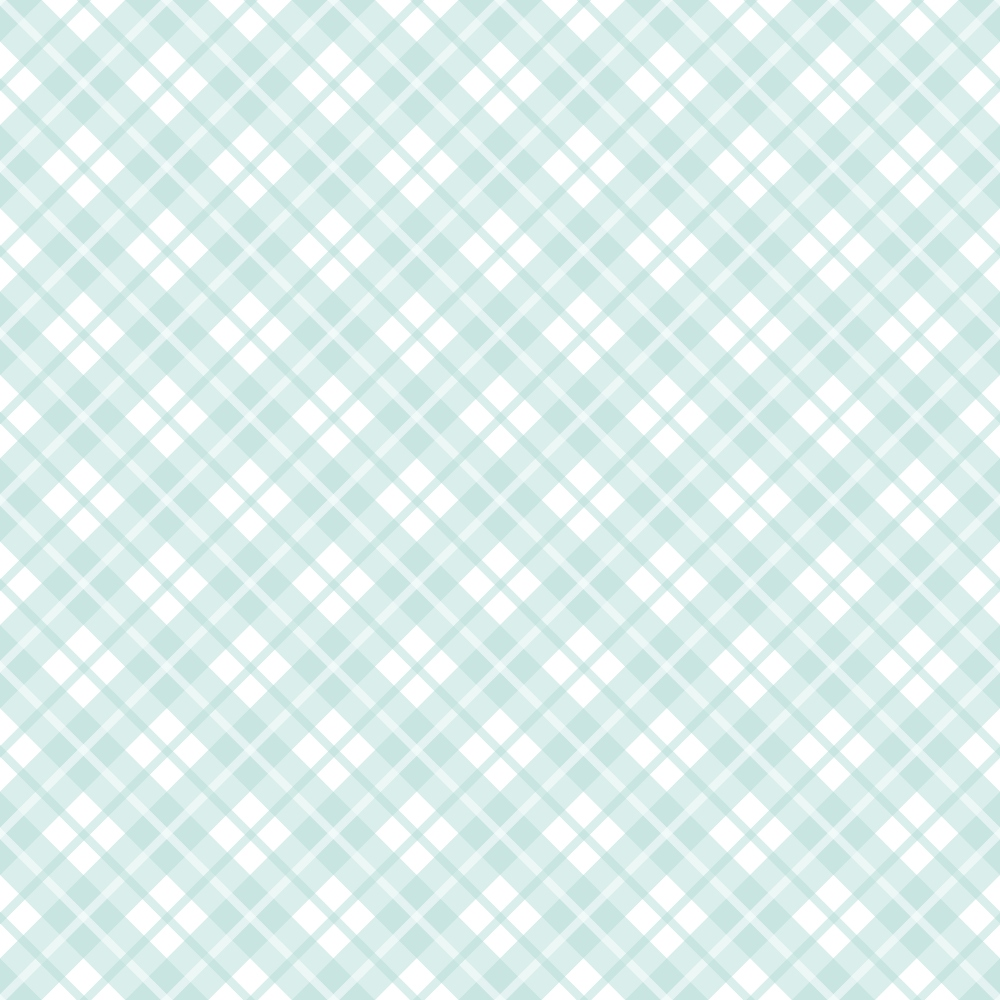 Seafoam Gingham Pattern 2 Minky Fabric