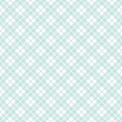 Seafoam Gingham Pattern 2 Minky Fabric