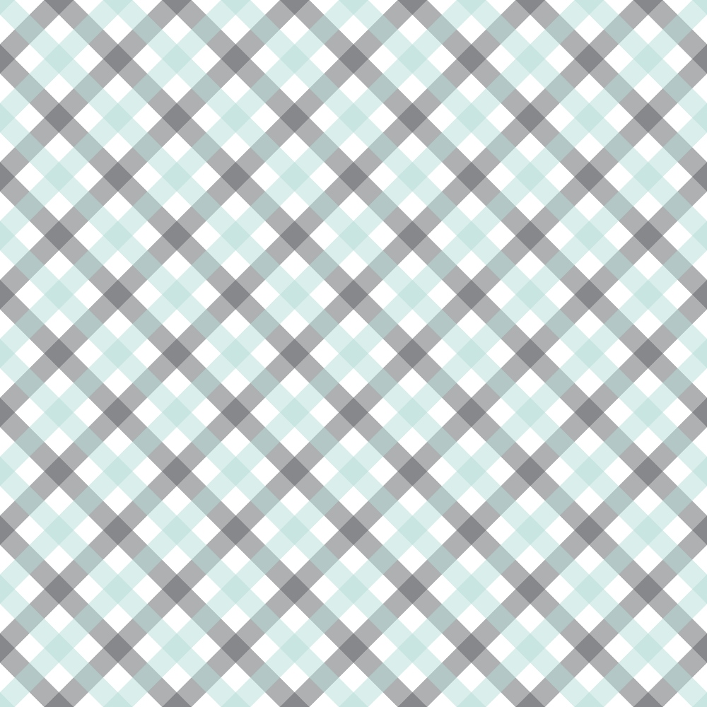Seafoam Gingham Pattern 3 Minky Fabric