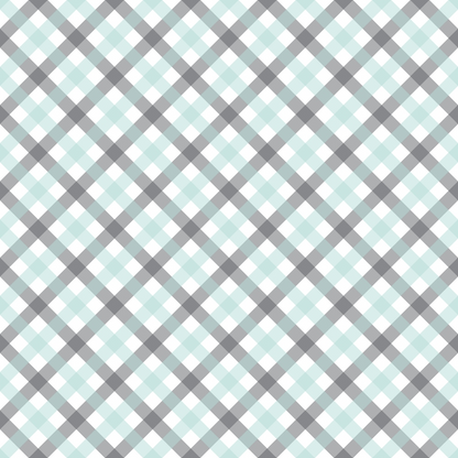 Seafoam Gingham Pattern 3 Minky Fabric
