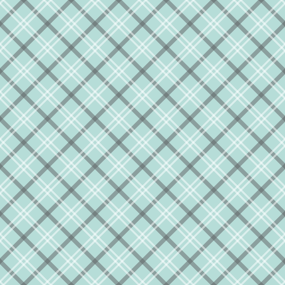 Seafoam Gingham Pattern 4 Minky Fabric