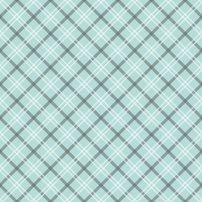 Seafoam Gingham Pattern 4 Minky Fabric
