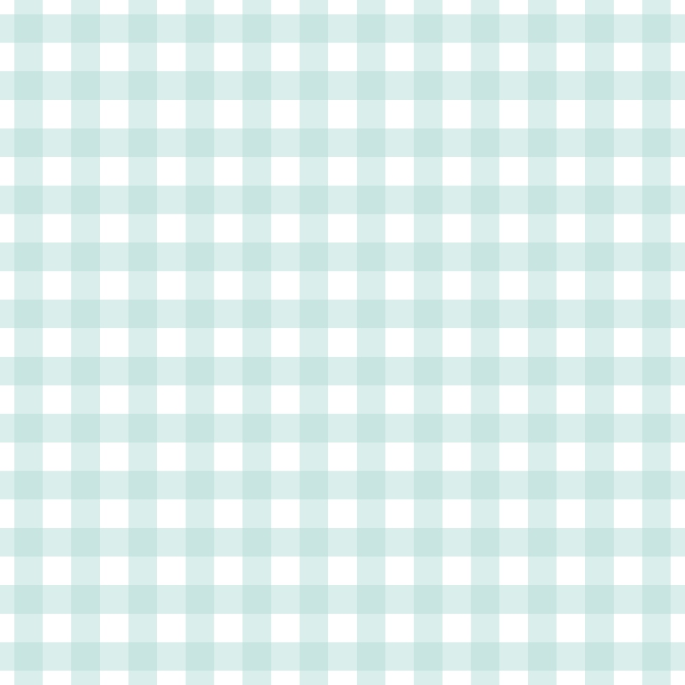 Seafoam Gingham Pattern 6 Minky Fabric