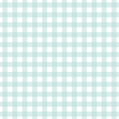 Seafoam Gingham Pattern 6 Minky Fabric