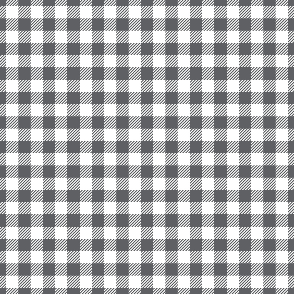Seafoam Gingham Pattern 8 Minky Fabric