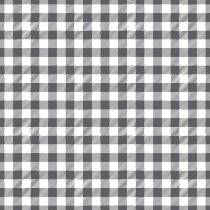 Seafoam Gingham Pattern 8 Minky Fabric