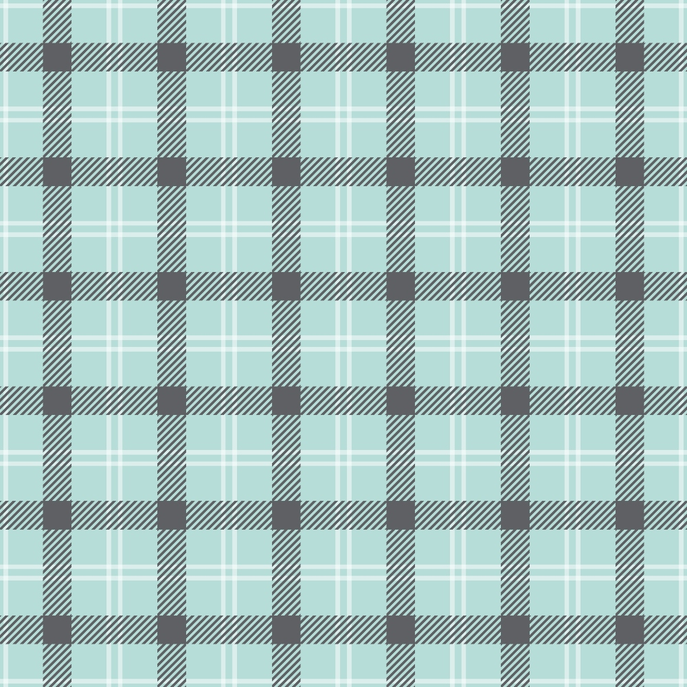 Seafoam Gingham Pattern 9 Minky Fabric