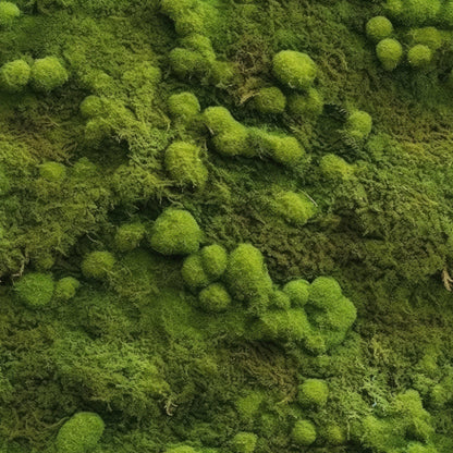 Moss Textures Pattern 10 Minky Fabric