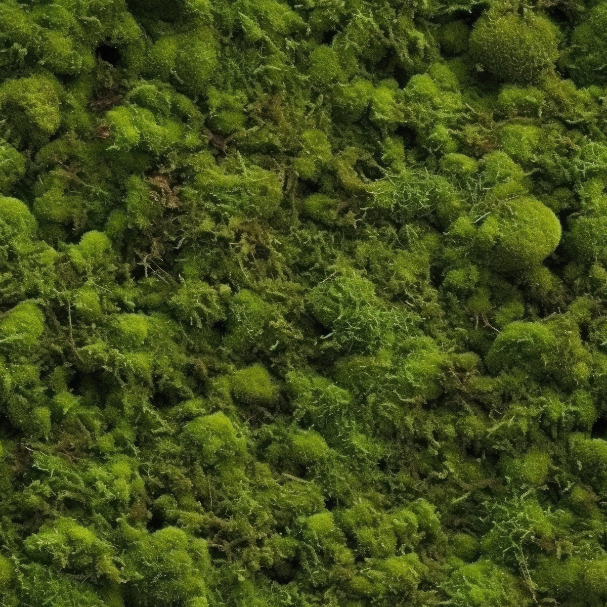 Moss Textures Pattern 12 Minky Fabric