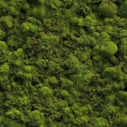 Moss Textures Pattern 12 Minky Fabric