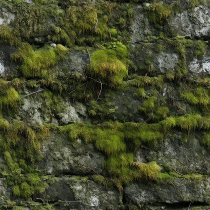 Moss Textures Pattern 2 Minky Fabric