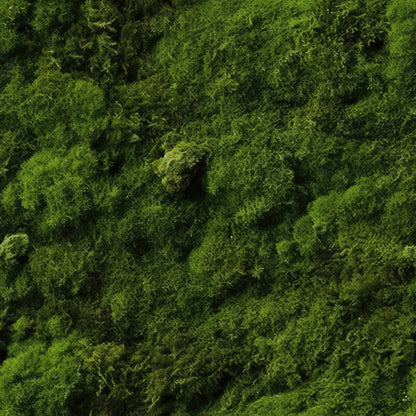 Moss Textures Pattern 6 Minky Fabric