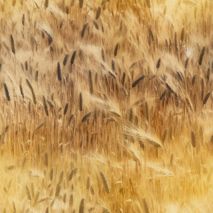 Nature Texture Pattern 15 Minky Fabric