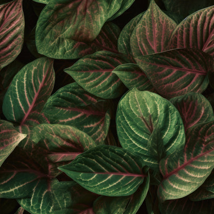 Nature Texture Pattern 5 Minky Fabric
