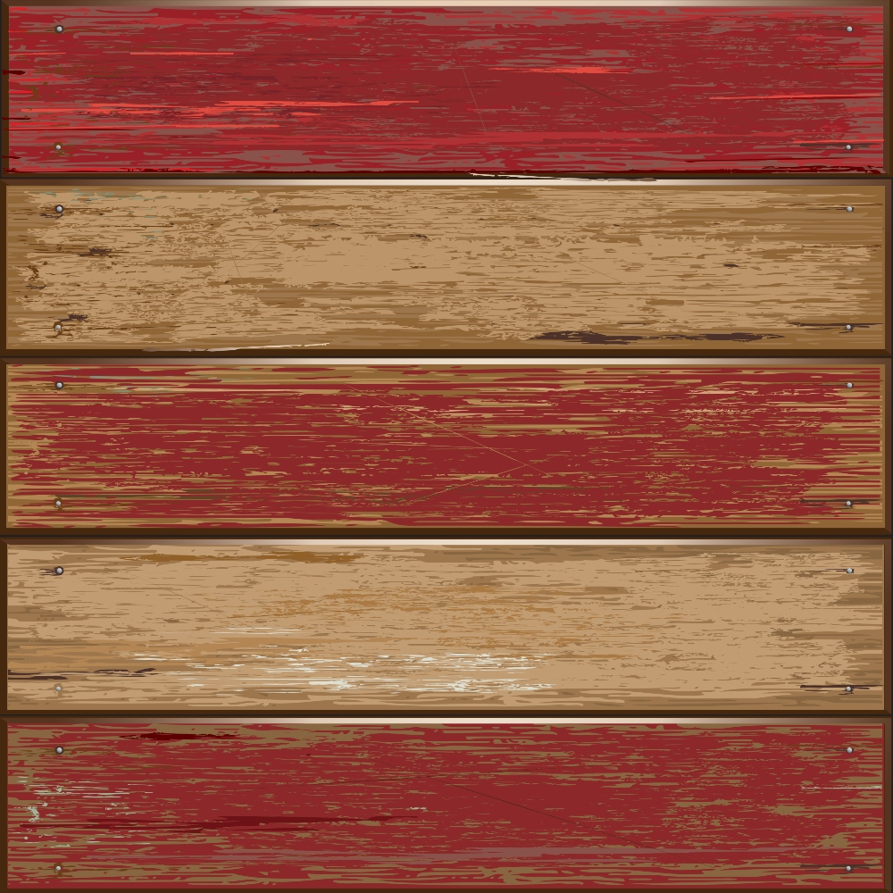 Old Barn Red Color Wooden Texture Minky Fabric