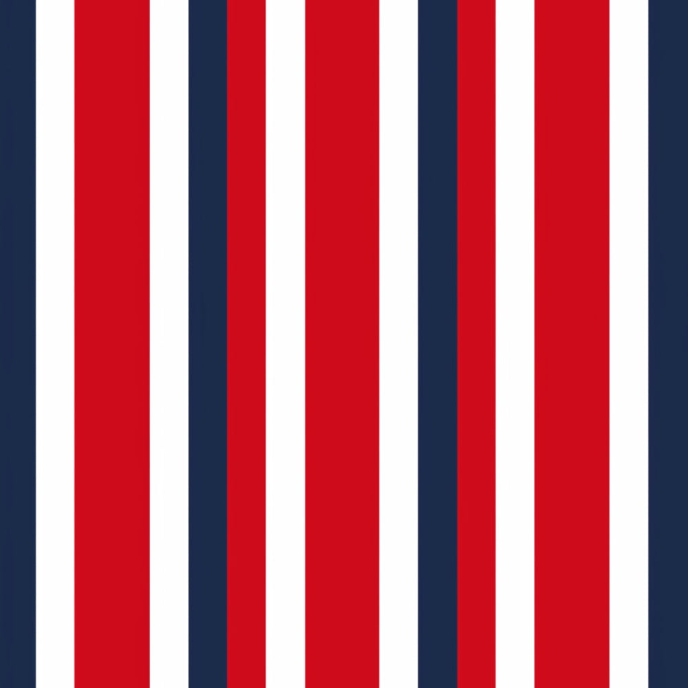 Patriotic Pattern 15 Minky Fabric