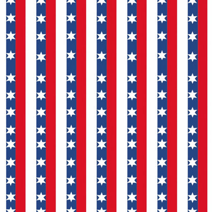 Patriotic Pattern 7 Minky Fabric