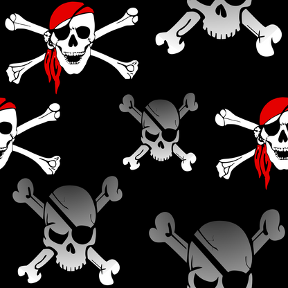Pirate Skull Minky Fabric