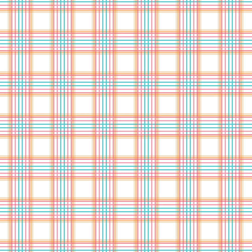 Berry Picnic Checks Pattern 11 Minky Fabric