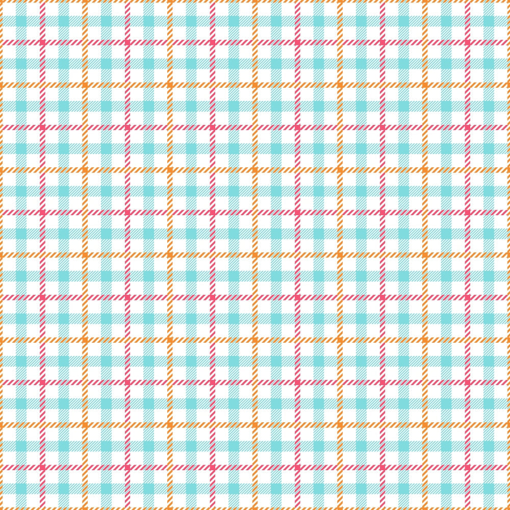 Berry Picnic Checks Pattern 12 Minky Fabric