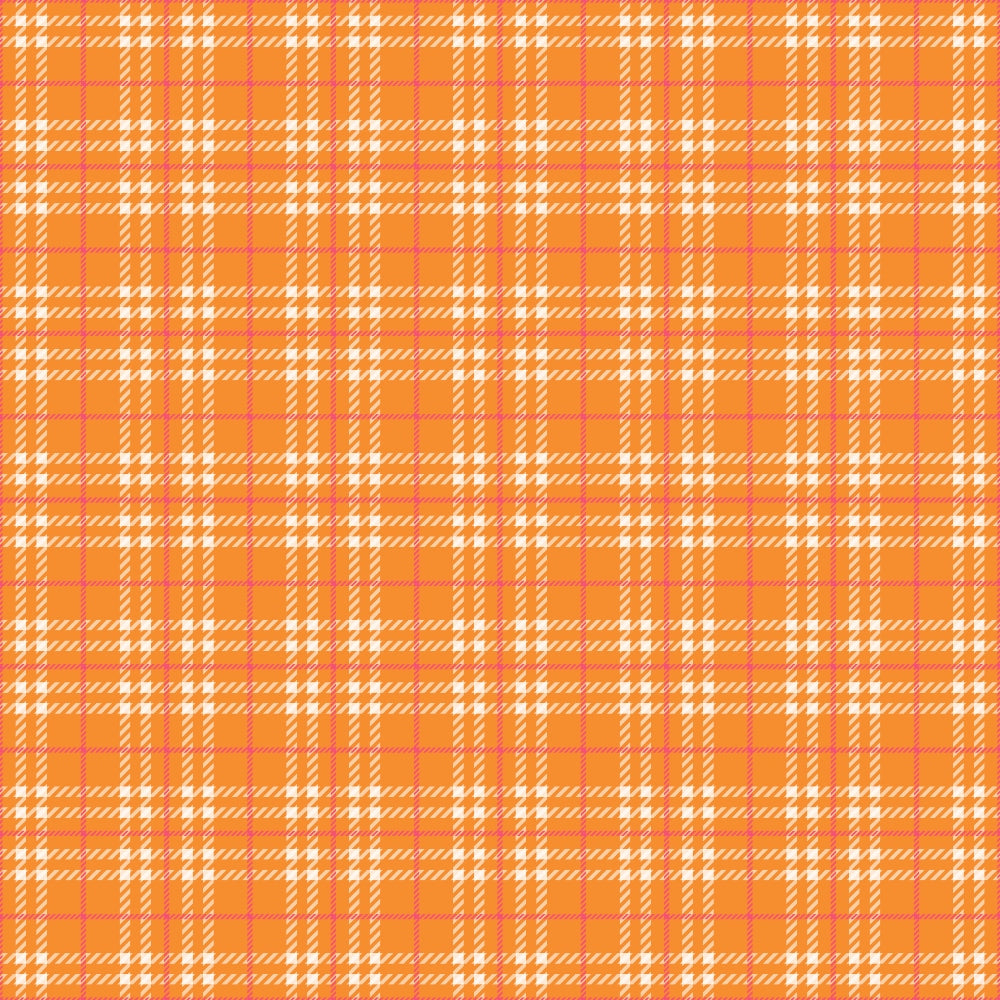 Berry Picnic Checks Pattern 13 Minky Fabric