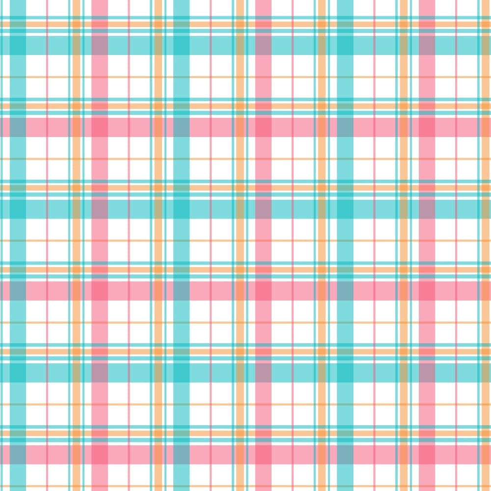 Berry Picnic Checks Pattern 14 Minky Fabric
