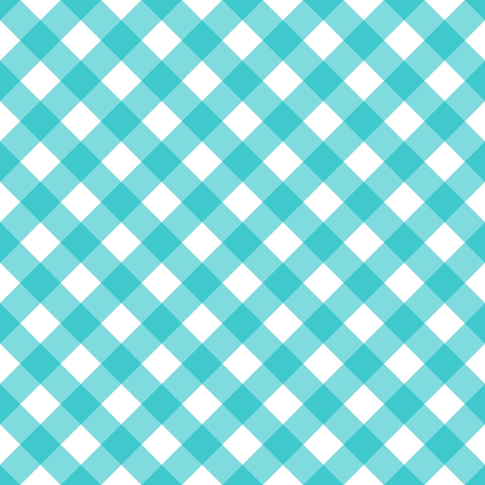 Berry Picnic Checks Pattern 15 Minky Fabric