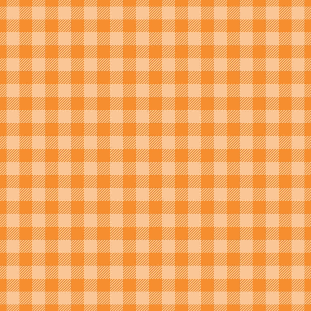 Berry Picnic Checks Pattern 16 Minky Fabric