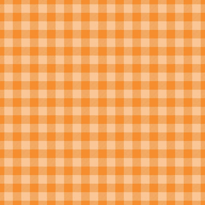 Berry Picnic Checks Pattern 16 Minky Fabric