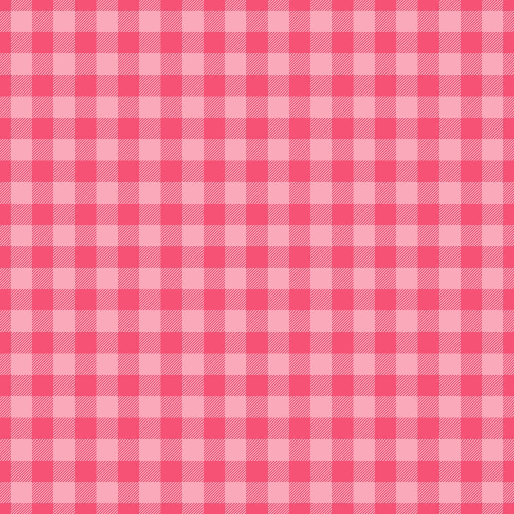 Berry Picnic Checks Pattern 17 Minky Fabric