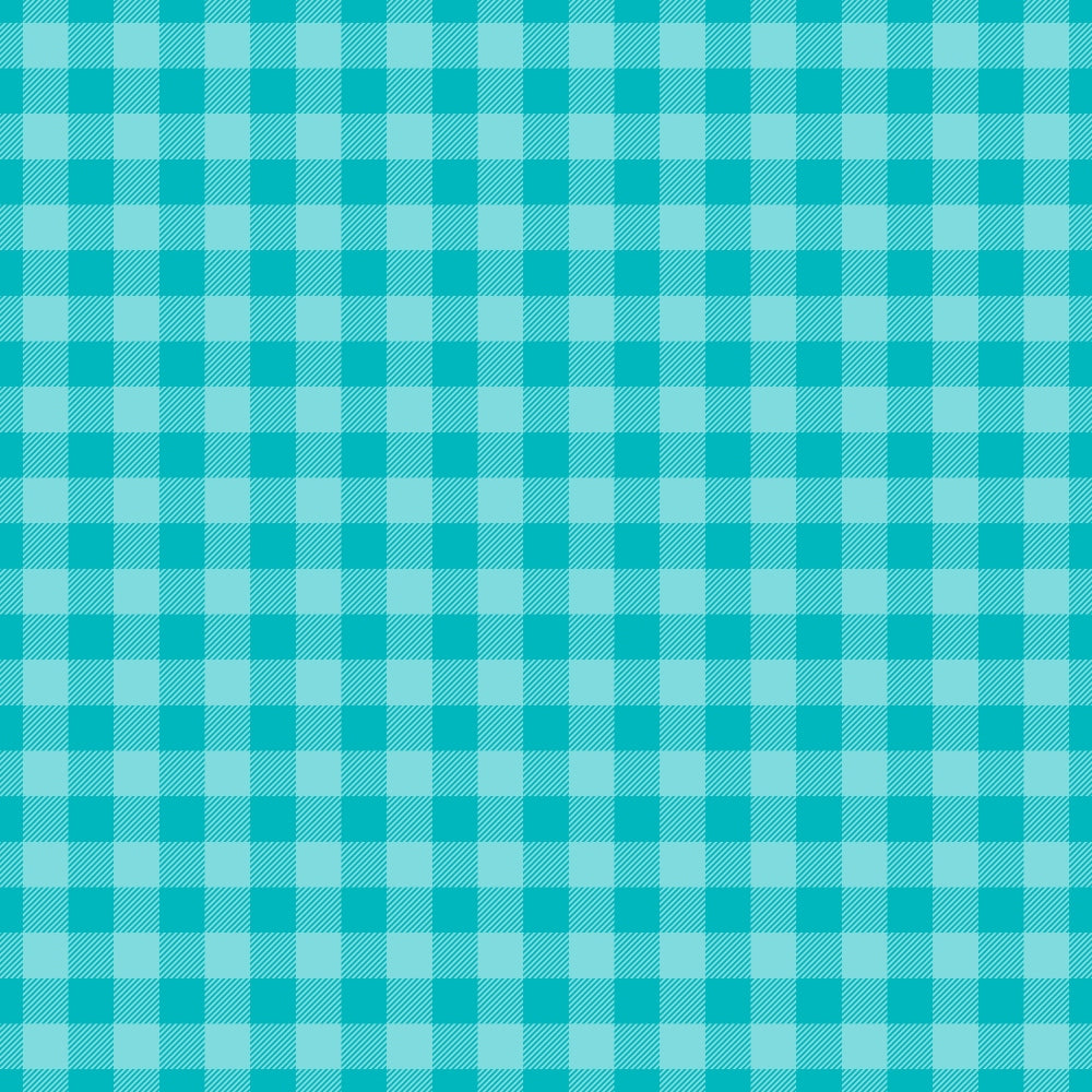 Berry Picnic Checks Pattern 18 Minky Fabric