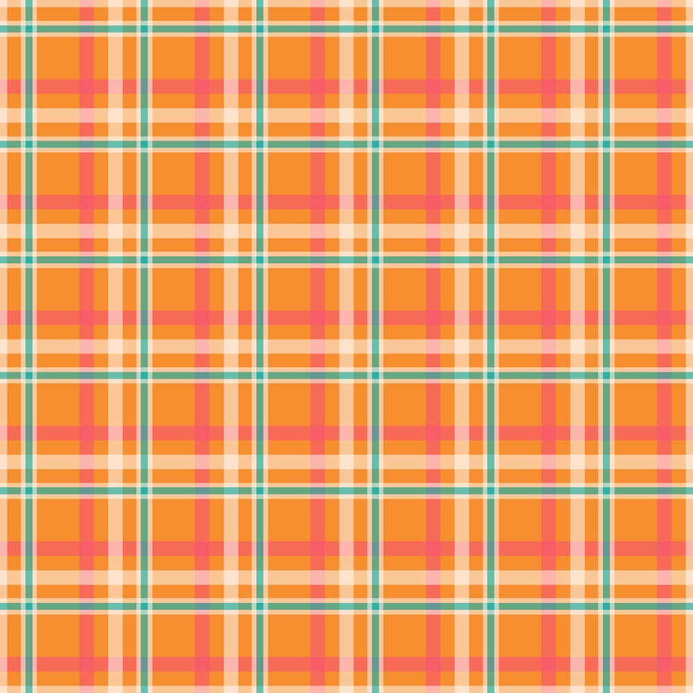 Berry Picnic Checks Pattern 19 Minky Fabric