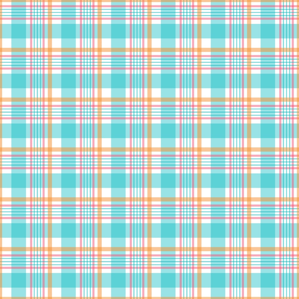 Berry Picnic Checks Pattern 2 Minky Fabric