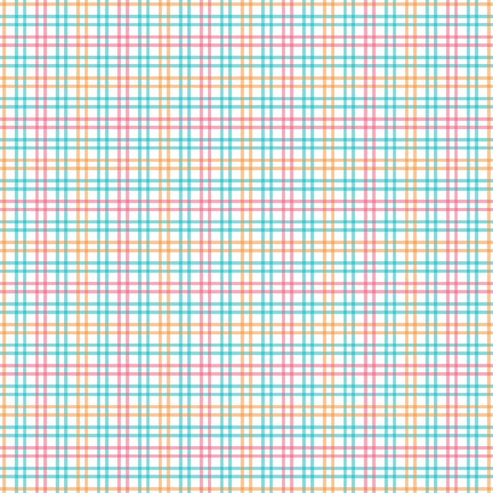 Berry Picnic Checks Pattern 3 Minky Fabric