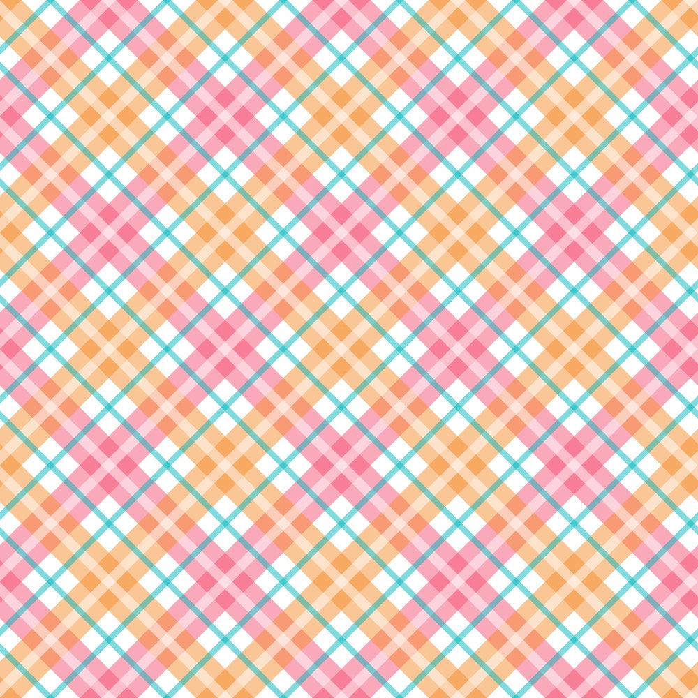 Berry Picnic Checks Pattern 4 Minky Fabric
