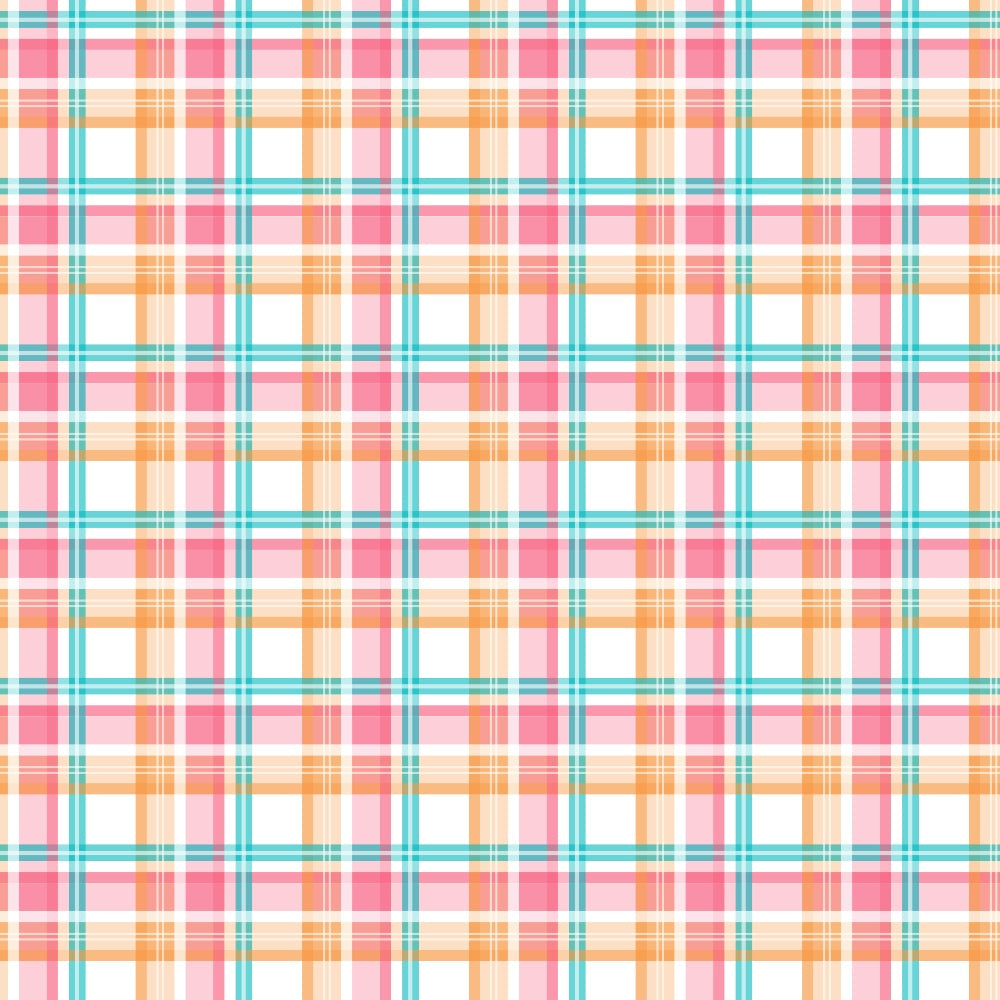 Berry Picnic Checks Pattern 5 Minky Fabric