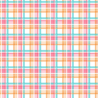 Berry Picnic Checks Pattern 5 Minky Fabric