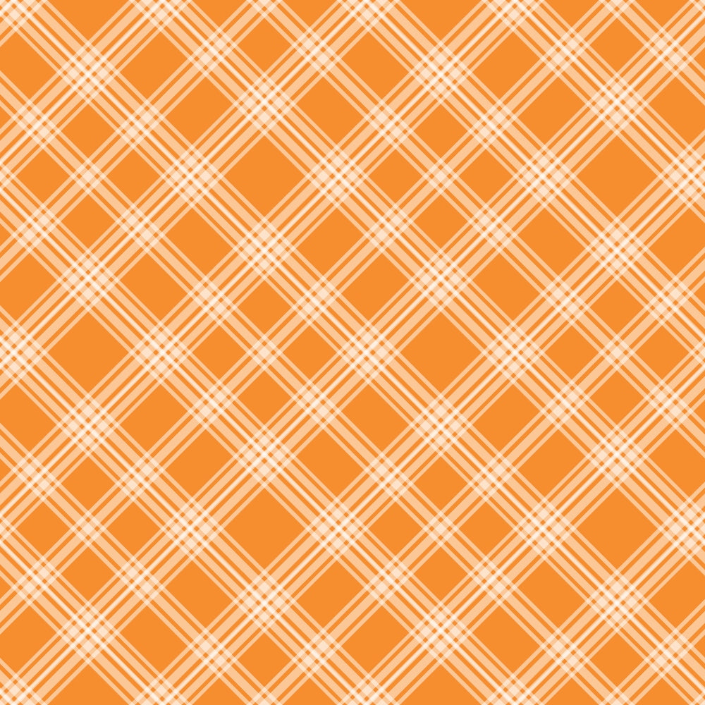 Berry Picnic Checks Pattern 6 Minky Fabric