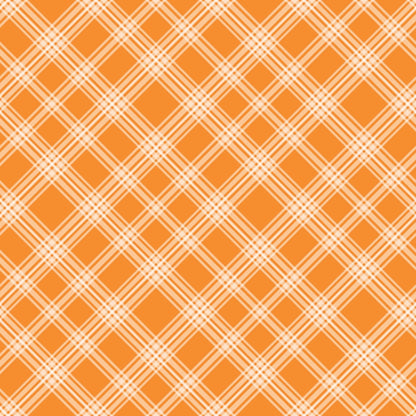 Berry Picnic Checks Pattern 6 Minky Fabric