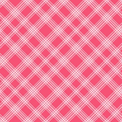 Berry Picnic Checks Pattern 7 Minky Fabric